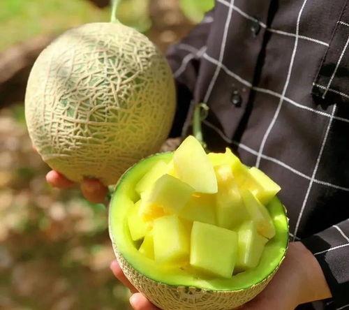 娱乐吃瓜大瓜,独家揭秘明星们的幕后故事